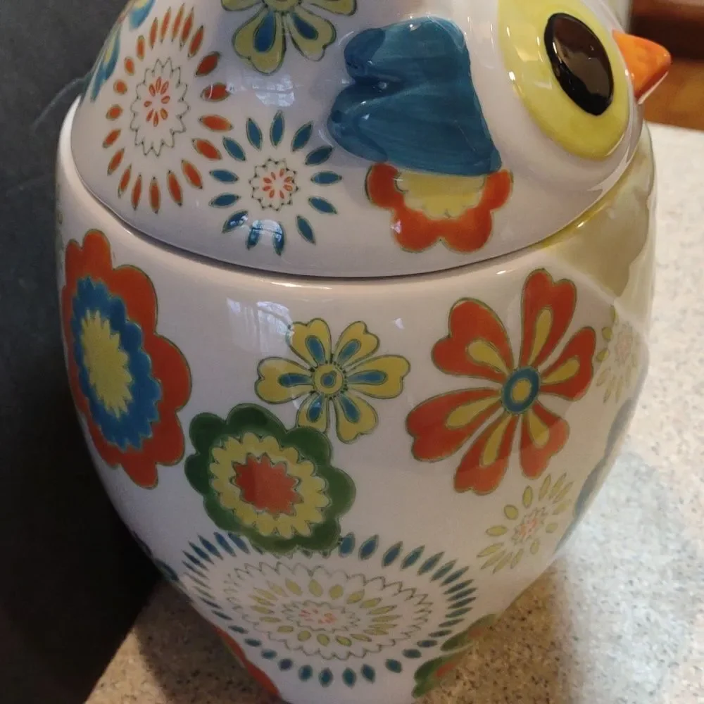 Pier 1 Owl Cookie Jar